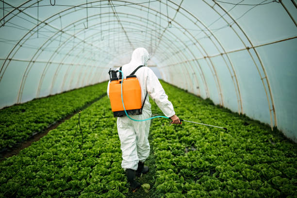 Best Mosquito Control Services  in Leonard, TX