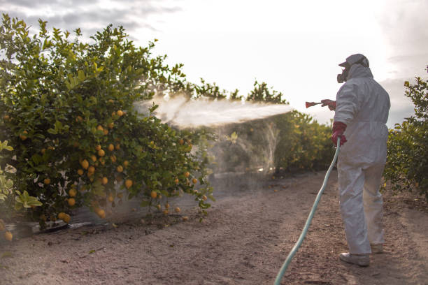 Best Cockroach Control Services  in Leonard, TX