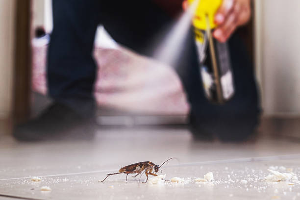 Best Local Pest Control Services  in Leonard, TX