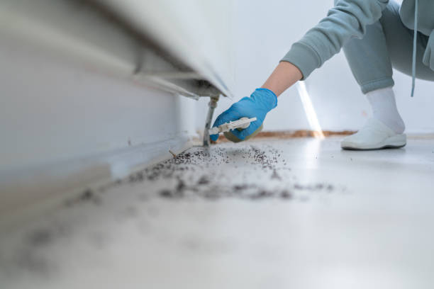 Best Best Pest Control Companies  in Leonard, TX