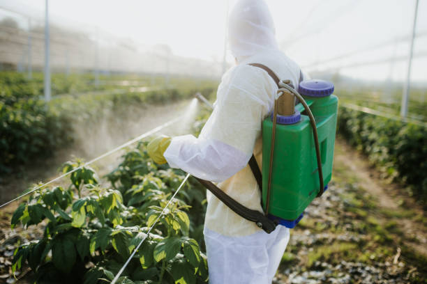 Best Pest Prevention Services  in Leonard, TX